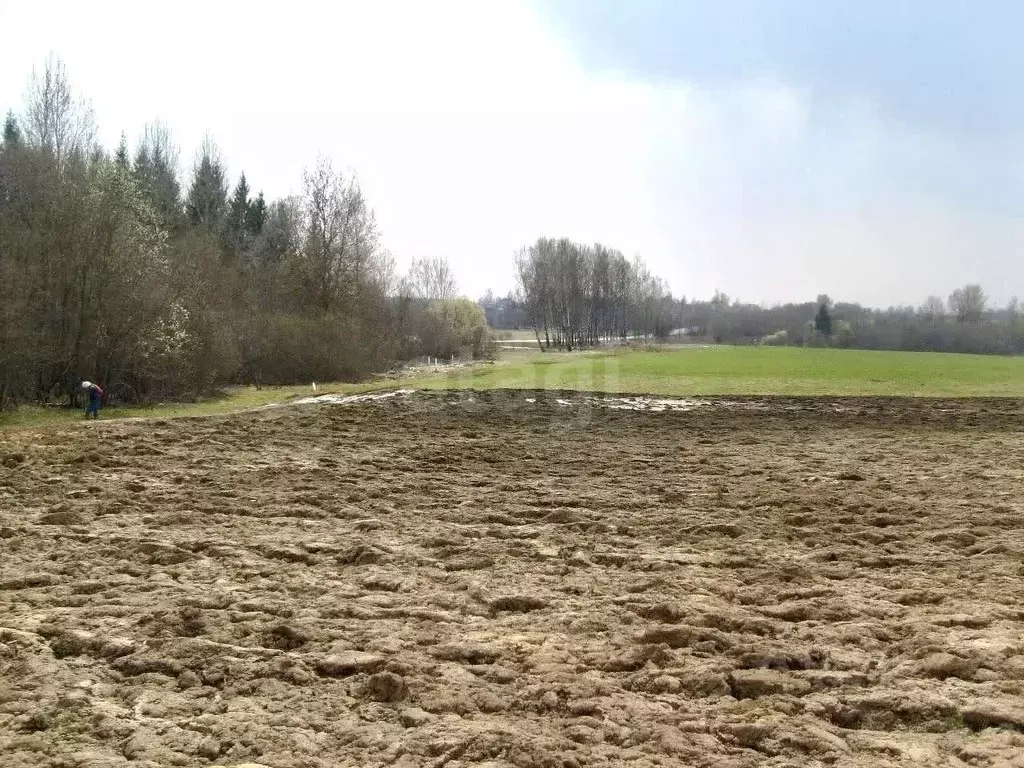 Участок в Смоленская область, Ярцево Духовщинское ш. (1300.0 сот.) - Фото 1