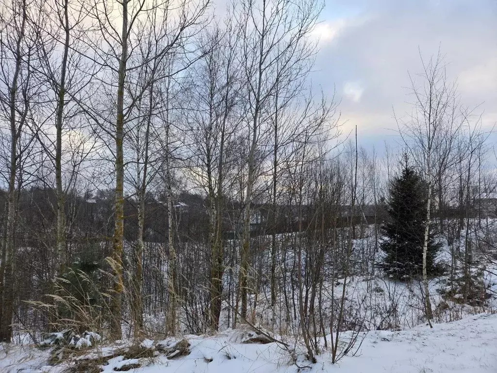 Участок в Московская область, Сергиево-Посадский городской округ, д. ... - Фото 1
