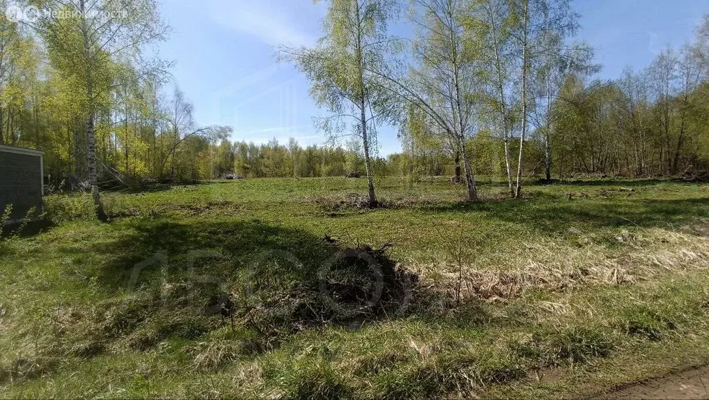 Участок в Сергиево-Посадский городской округ, деревня Машутино ... - Фото 0
