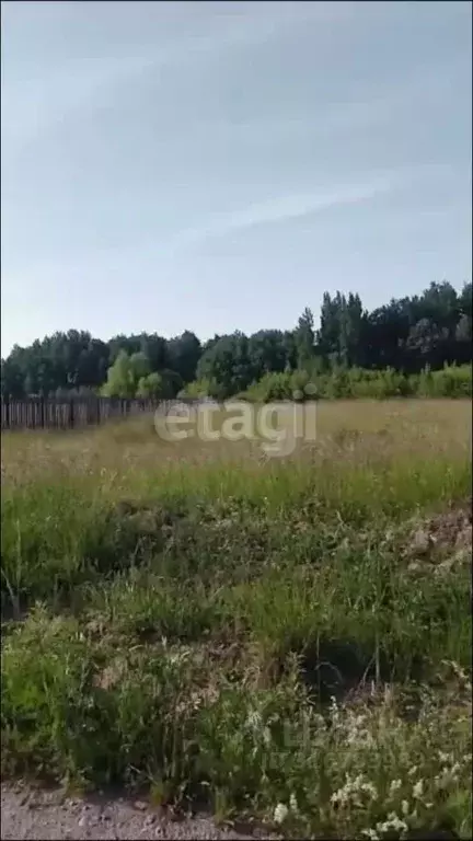 Участок в Калининградская область, Гурьевский муниципальный округ, ... - Фото 1
