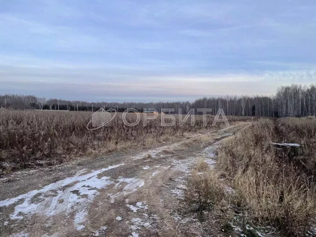 Участок в Тюменская область, Тюменский муниципальный округ, с. Кулига ... - Фото 2