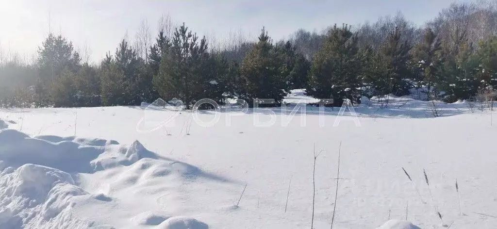 Участок в Тюменская область, Тюменский муниципальный округ, с. Успенка ... - Фото 2