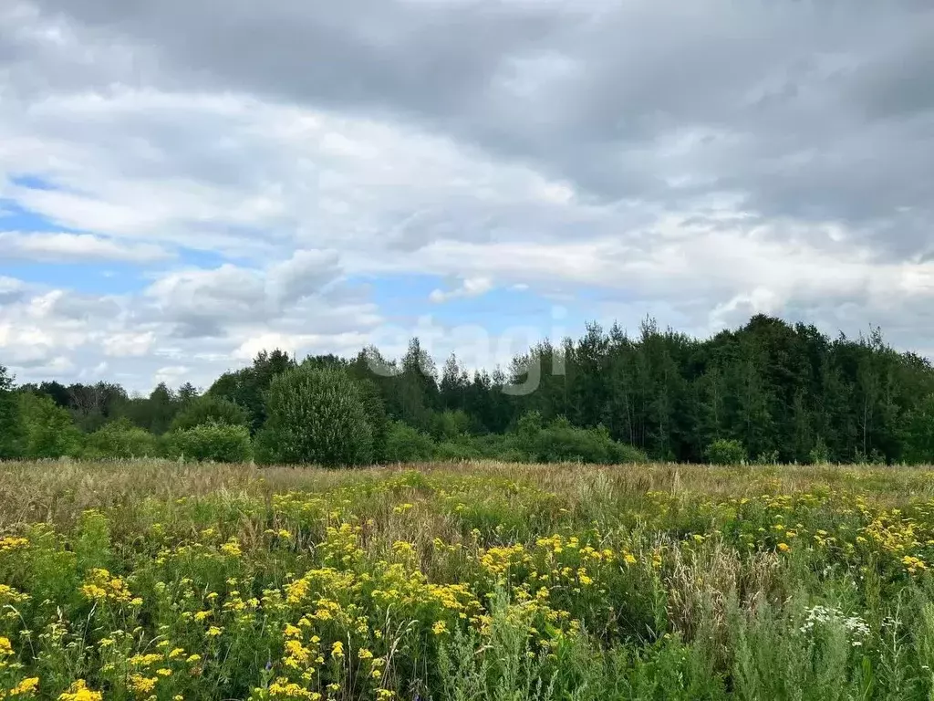 Участок в Мордовия, Саранск городской округ, Николаевка рп  (15.0 ... - Фото 2