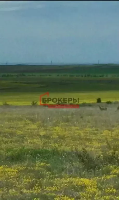 Участок в Крым, Бахчисарайский район, Каштановское с/пос, Крымские ... - Фото 1