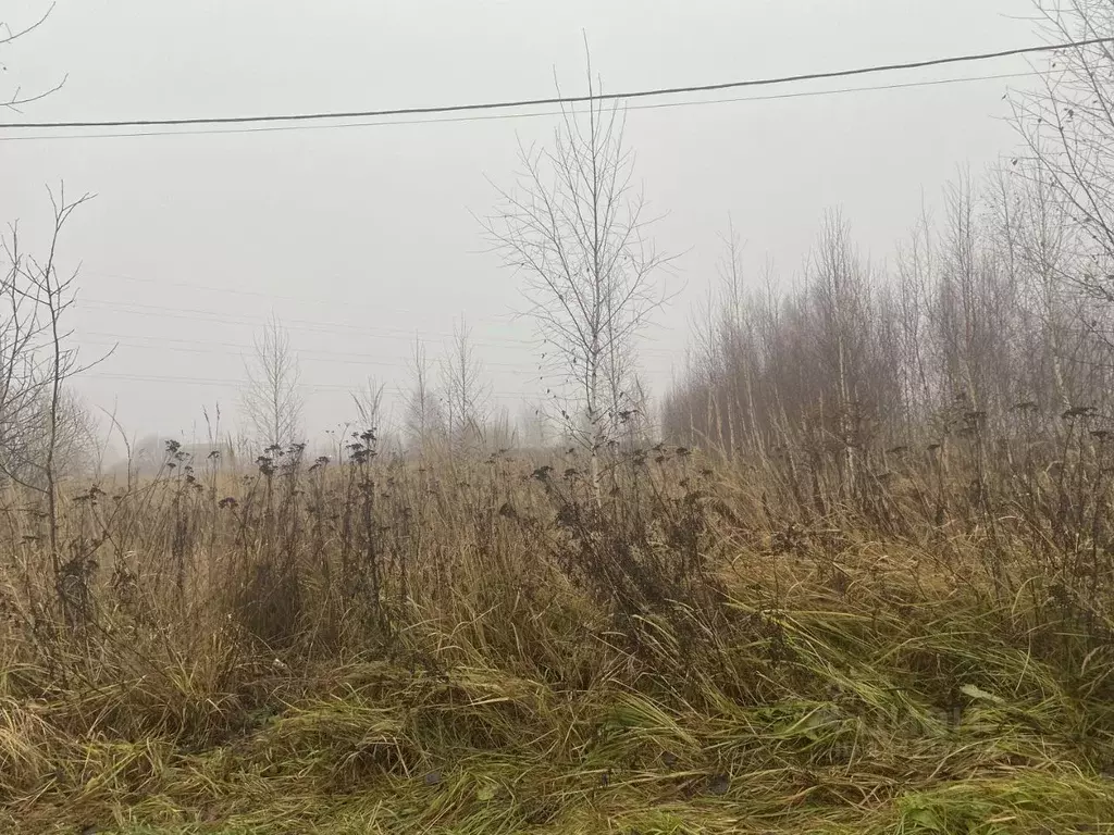 Участок в Московская область, Луховицы Почтовая ул. (13.21 сот.) - Фото 1