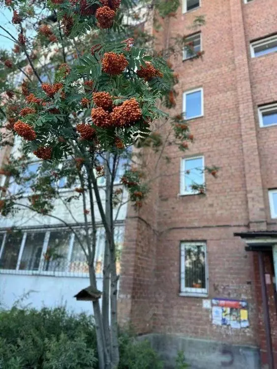 2-к кв. Иркутская область, Иркутск ул. Красноказачья, 120/4 (48.3 м) - Фото 1