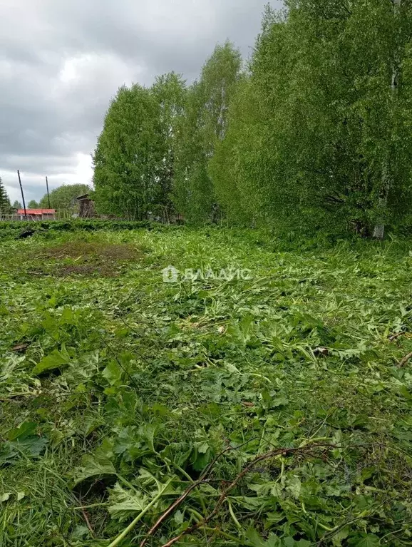Участок в Коми, Корткеросский муниципальный район, Пезмег ... - Фото 2