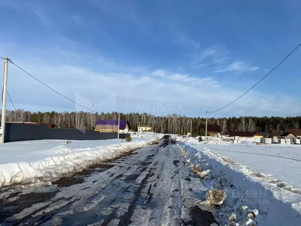 Участок в Тюменская область, Тюмень Садовое товарищество Липовый ... - Фото 1