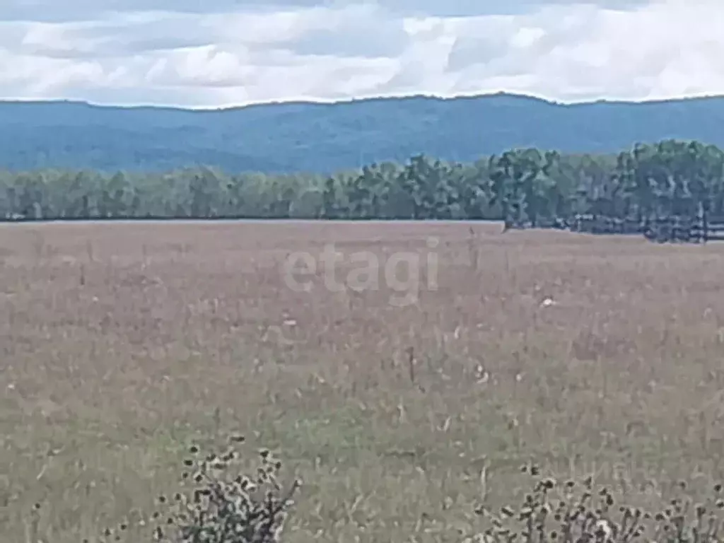 Участок в Бурятия, Кабанский район, с. Оймур Совхозная ул. (359.77 ... - Фото 2