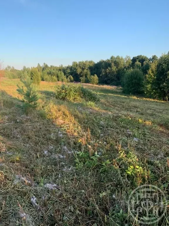 Участок в Ленинградская область, Приозерский район, Плодовское с/пос, ... - Фото 1