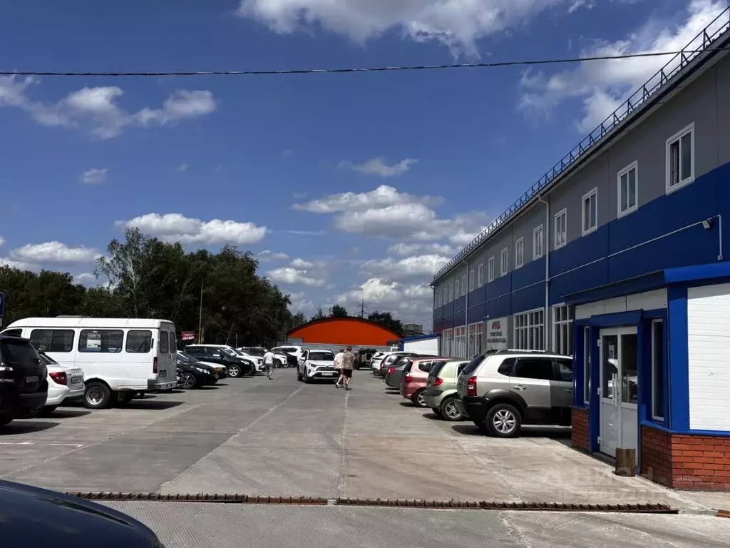 Торговая площадь в Омская область, Омск Новая Московка мкр,  (640 м) - Фото 2