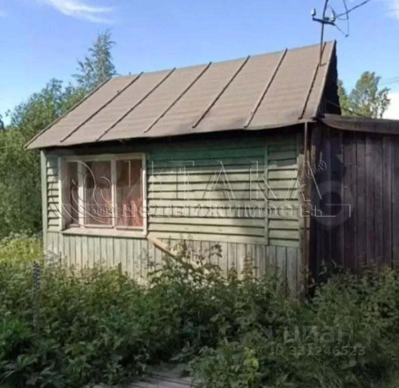 Дом в Ленинградская область, Выборг ул. Ладная, 54 (33 м) - Фото 2