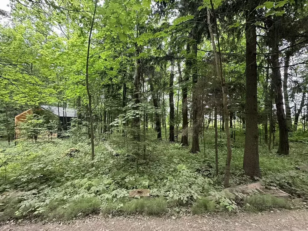 Участок в Московская область, Дмитровский муниципальный округ, ... - Фото 2