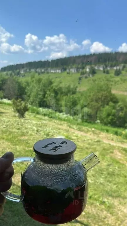 Дом в Пермский край, Губахинский муниципальный округ, Усьва рп ул. ... - Фото 2