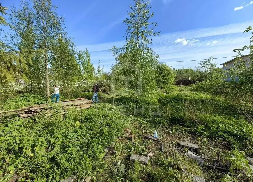 Участок в Санкт-Петербург Педиатр СНТ, 2-я линия, 3 (6.2 сот.) - Фото 1