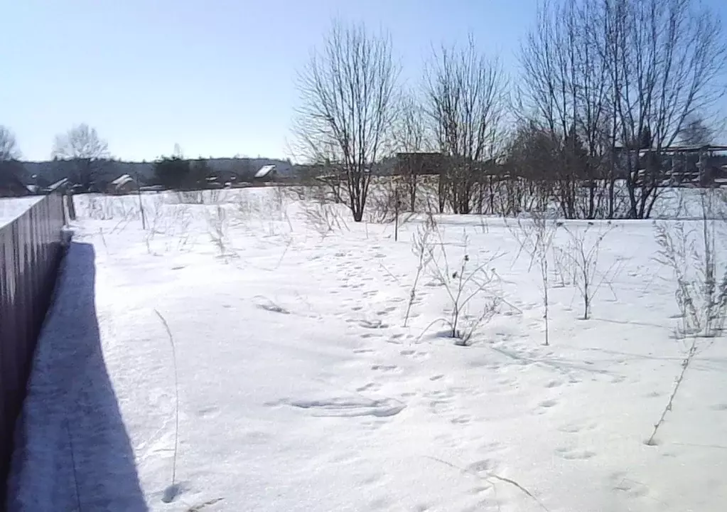 Участок в Московская область, Шаховская муниципальный округ, д. ... - Фото 1