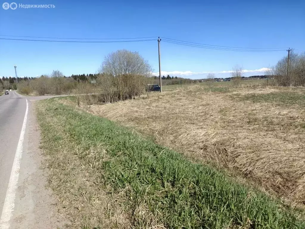 Участок в Лопухинское сельское поселение, деревня Муховицы (45 м) - Фото 1
