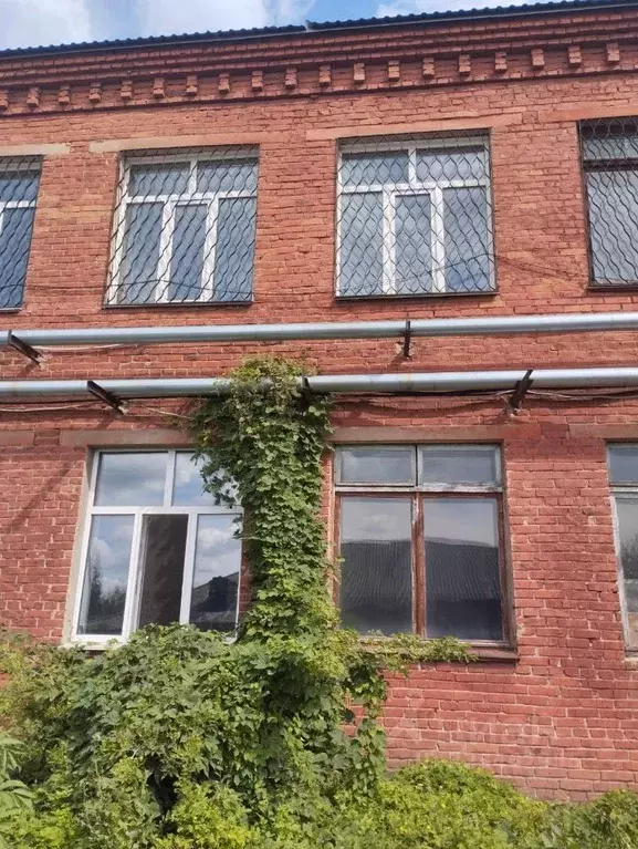 Офис в Омская область, Омск ул. 10 лет Октября, 98 (497 м) - Фото 2