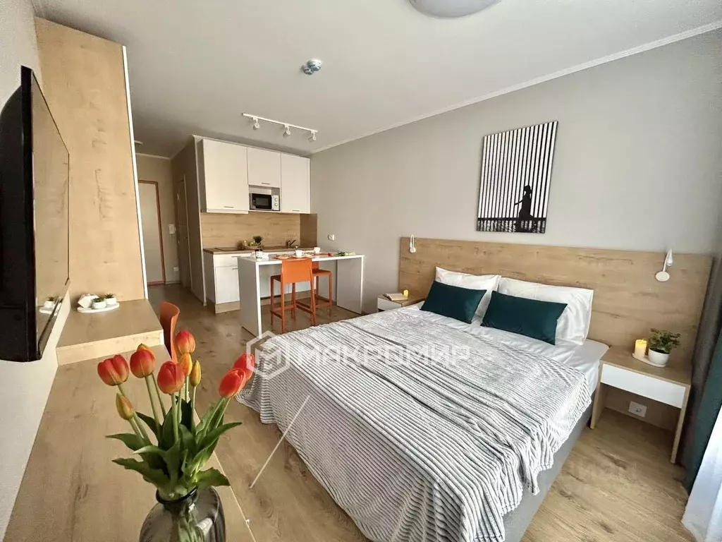 Студия Санкт-Петербург пос. Парголово, проезд Толубеевский, 8к2 (23.0 ... - Фото 1