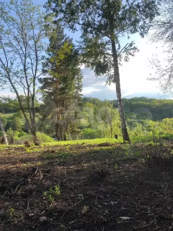 Участок 11 сот. (СНТ, ДНП) - Фото 0
