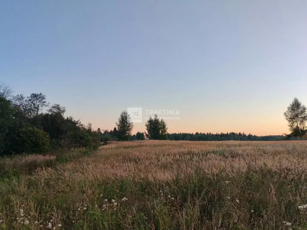 Продается участок в д. Бестужево - Фото 2