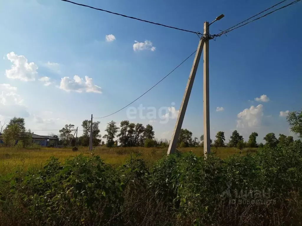 участок в воронежская область, борисоглебск ул. феодора . - Фото 1