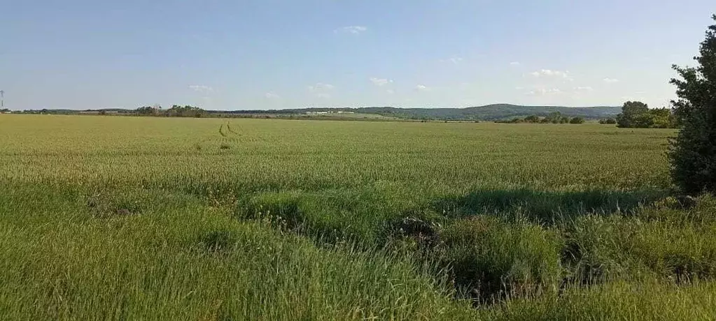 Участок в Краснодарский край, Северский район, Ильское городское ... - Фото 1