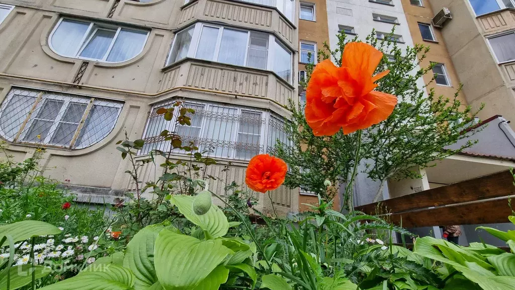 Продаётся 3-к квартира, 91.4 м - Фото 1