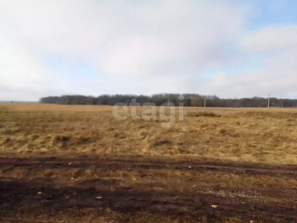 Участок в Курская область, Курский район, Шумаковский сельсовет, д. ... - Фото 1