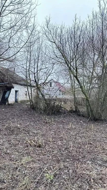 Участок в Липецкая область, Грязинский муниципальный округ, с. ... - Фото 2