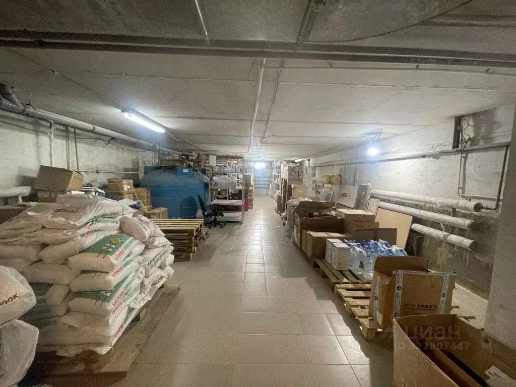 Помещение свободного назначения в Татарстан, Казань Петербургская ул., ... - Фото 2