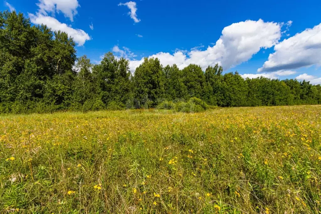 Участок в Тюменская область, Тюменский муниципальный округ, д. Елань, ... - Фото 0