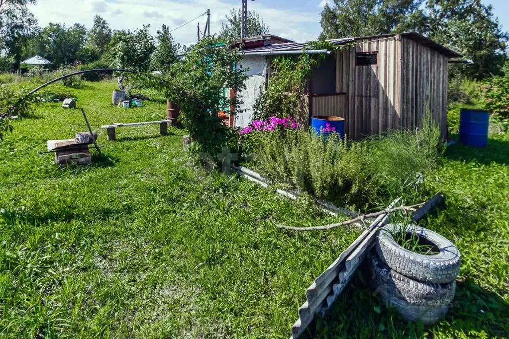 Дом в Вологодская область, д. Цыпоглазово  (12 м) - Фото 1