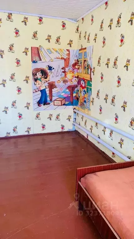 Дом в Омская область, Азовский Немецкий Национальный район, с. ... - Фото 1