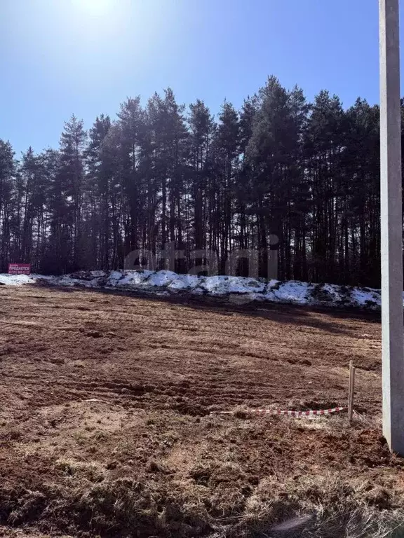 Участок в Калужская область, Боровск Бора-Боровск форестлейк кп,  ... - Фото 1