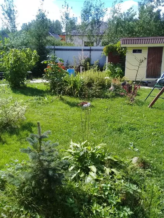 Дом в деревня Орехово, посёлок при железнодорожной станции 67 километр ... - Фото 2