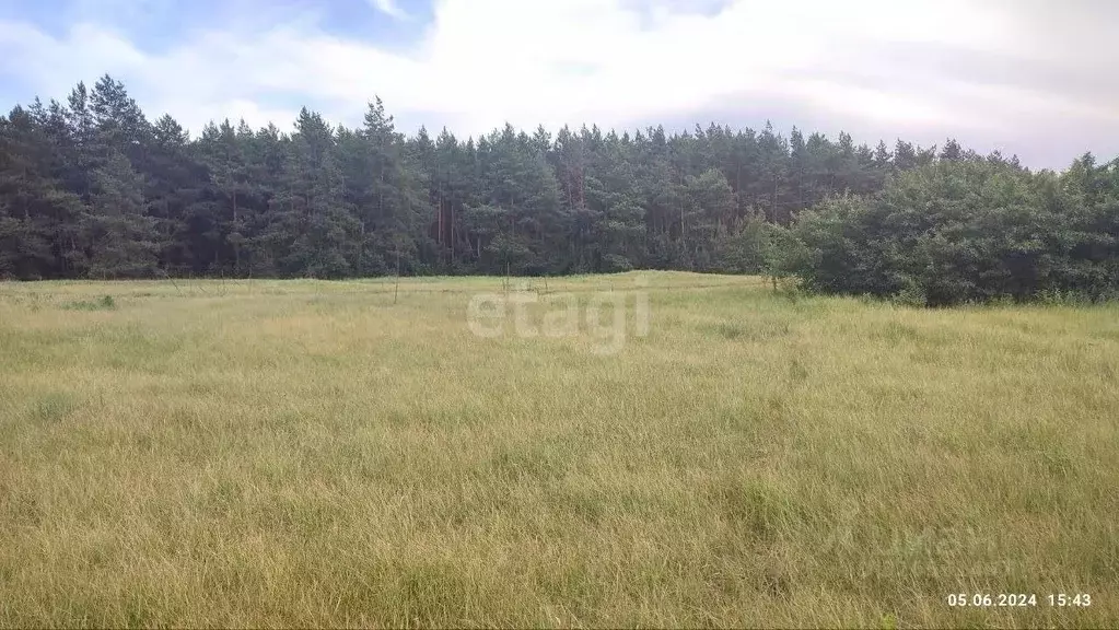 Участок в Белгородская область, Чернянский район, Волоконовское с/пос, ... - Фото 1
