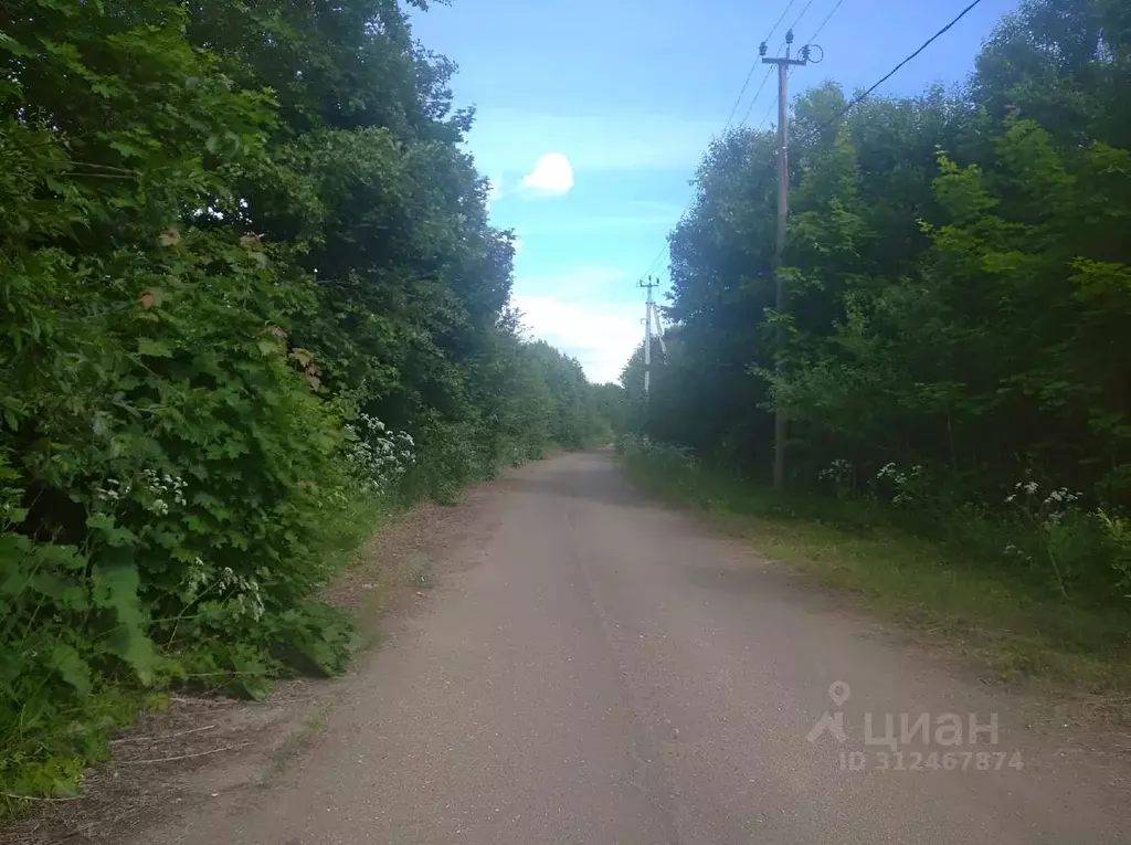 Участок в Новгородская область, Новгородский район, Савинское с/пос, ... - Фото 0