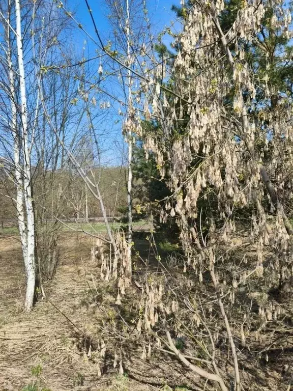 Участок в Московская область, Шатура муниципальный округ, д. ... - Фото 2