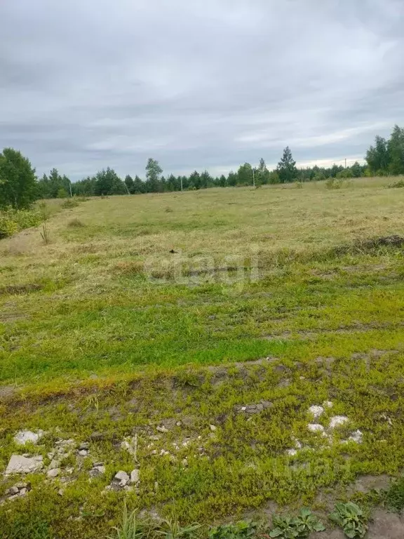 Участок в Липецкая область, Грязинский район, Плехановский сельсовет, ... - Фото 1