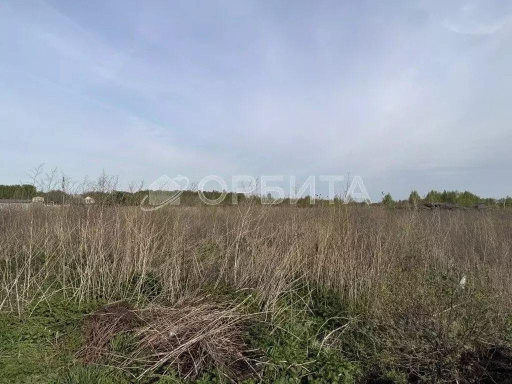 Участок в Тюменская область, Тюмень Лаванда садовое товарищество,  ... - Фото 1