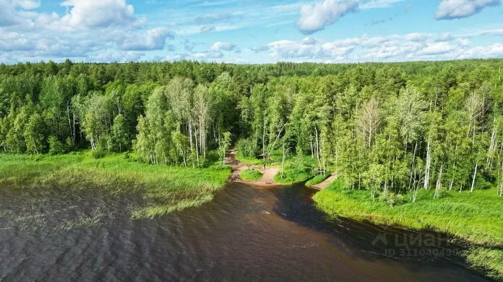 Участок в Ленинградская область, Приозерский район, Красноозерное ... - Фото 0