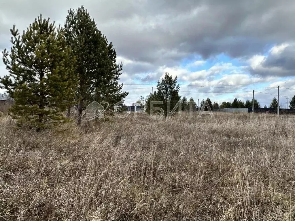 Участок в Тюменская область, Тюменский муниципальный округ, с. ... - Фото 1