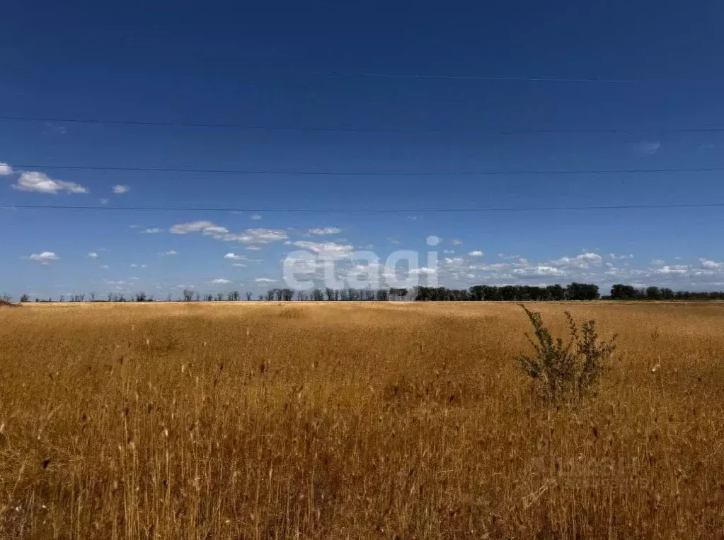Участок в Крым, Симферопольский район, Николаевское с/пос, с. ... - Фото 1