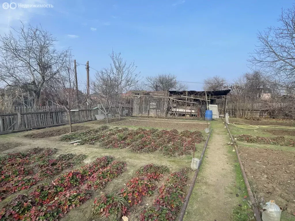 Участок в Астрахань, садоводческое некоммерческое товарищество ... - Фото 2
