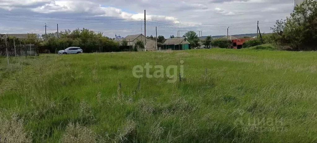 Участок в Белгородская область, Волоконовка рп ул. Курячего (15.5 ... - Фото 1