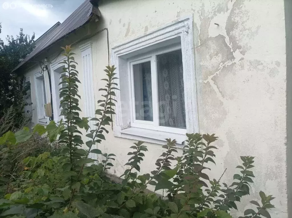 Дом в село Боринское, улица Гоголя (62.4 м) - Фото 1