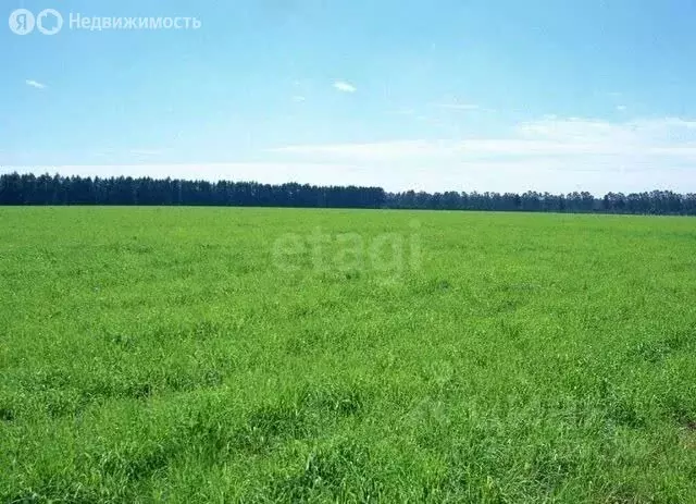 Участок в Тамбов, Мичуринская улица (42.27 м) - Фото 1