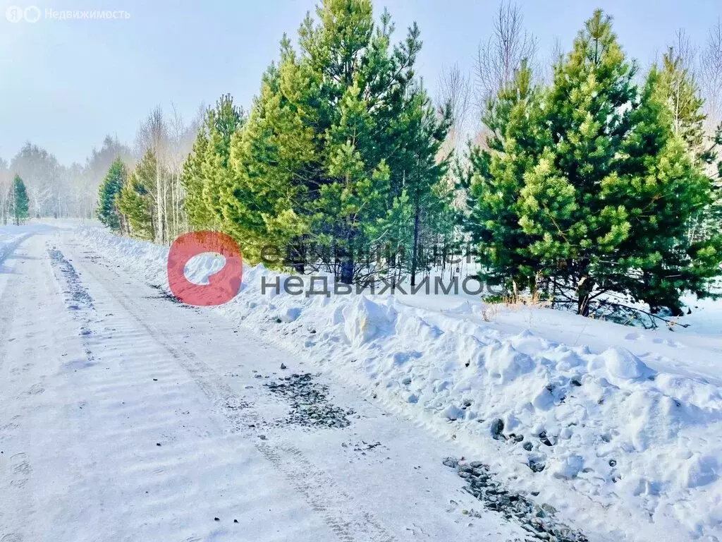 Участок в Тюменский муниципальный округ, село Кулига, микрорайон ... - Фото 2