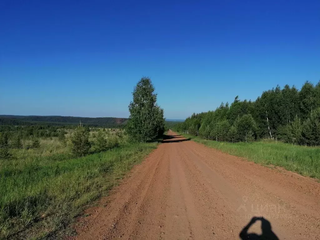 Участок в Пермский край, Оханский муниципальный округ, д. Березовка 31 ... - Фото 1